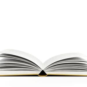 "L'arca dei suoni originari"