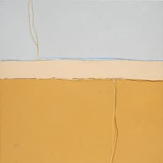 Joe Piccillo