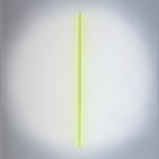 Lulu Ladron de Guevara