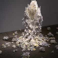 Petah Coyne