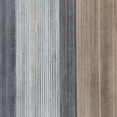 Lui Chun Kwong 吕振光