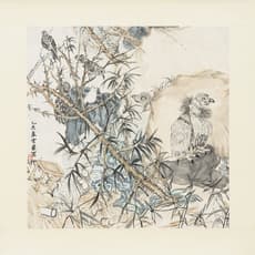 Yun-Fei Ji 季云飞