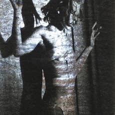 Rirkrit Tiravanija & Tomas Vu