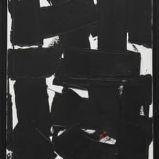 CHEN Weinong