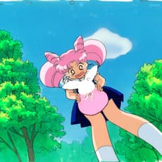 Sailor Moon Series by Toei Animation