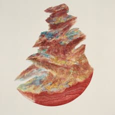 Wu Didi