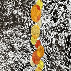 María Bayá, Cascada (2022) by Baya