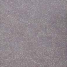 Joseph JURRA TJAPALTJARRI