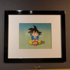 Dragon Ball Series by Toei Animation