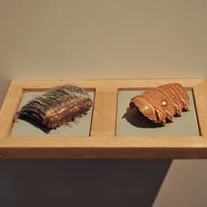 José Manuel Mesías