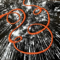 María Bayá, Cañaveral naranja (2023) by Baya