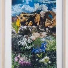 Peter Arthur Hutchinson