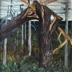 Akseli Gallen-Kallela