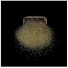 Satyanarayana Gavara