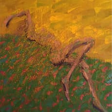 John Graham Coughtry