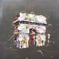 Shigeru Nishikawa 西川 茂