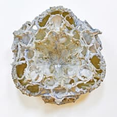 Keiyona C. Stumpf