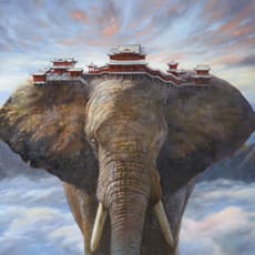 Chih Pin Wang
