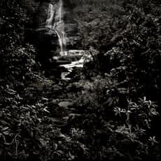 Caio Reisewitz