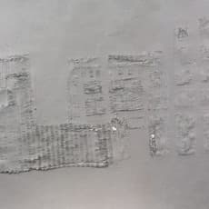 SaraNoa Mark