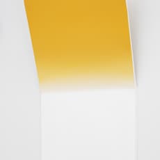 Päivikki Alaräihä