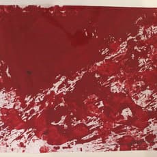 Hermann Nitsch