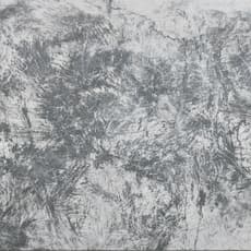 Youn Myeung-Ro