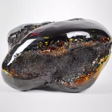 Hiroshi Kaneyasu 金保 洋