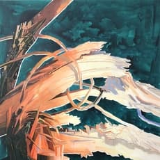 Su Yu-Xin 苏予昕