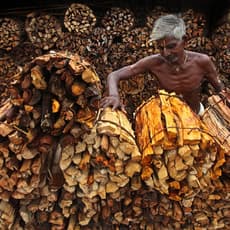 Somenath Mukhopadhyay