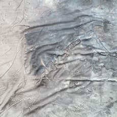 Theodore Boyer