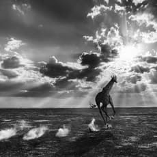 David Yarrow