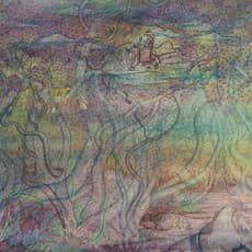 Laxmipriya Panigarhi