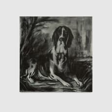 Taylor Marie Prendergast