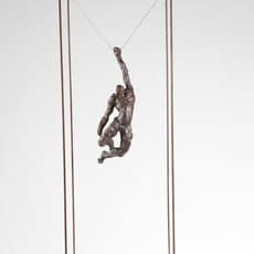 Fernando Suárez Reguera