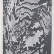 Fritz Chesnut