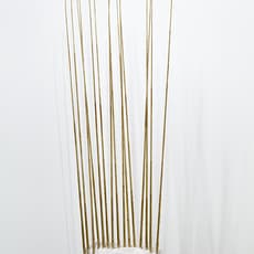 Elaine Cameron-Weir