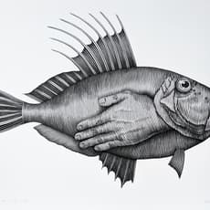 Nicolas Sanchez (b. 1983)