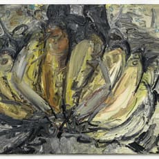 Wieske Wester