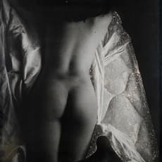 Slater Bradley