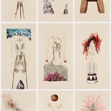 Wangechi Mutu