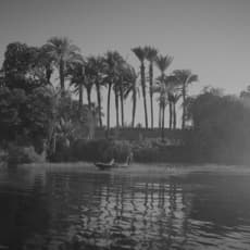 Wael Shawky