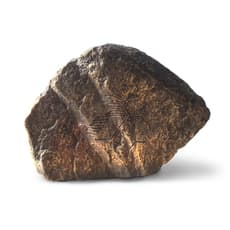 José Carlos and José Luis Martinat