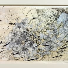 Judy Pfaff