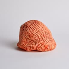 Lillian Lykiardopoulou