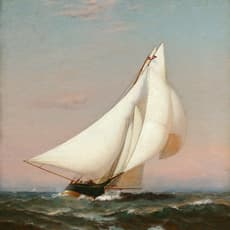 Warren Sheppard