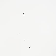 Debra Bloomfield