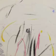 Max Huckle 馬克斯•赫克爾