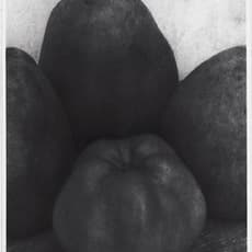 Edward Steichen