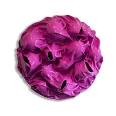 Stefania Vichi Stefania Vichi